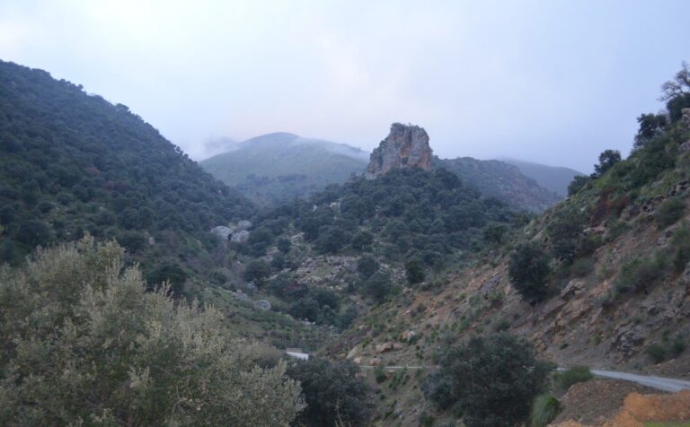 hiking